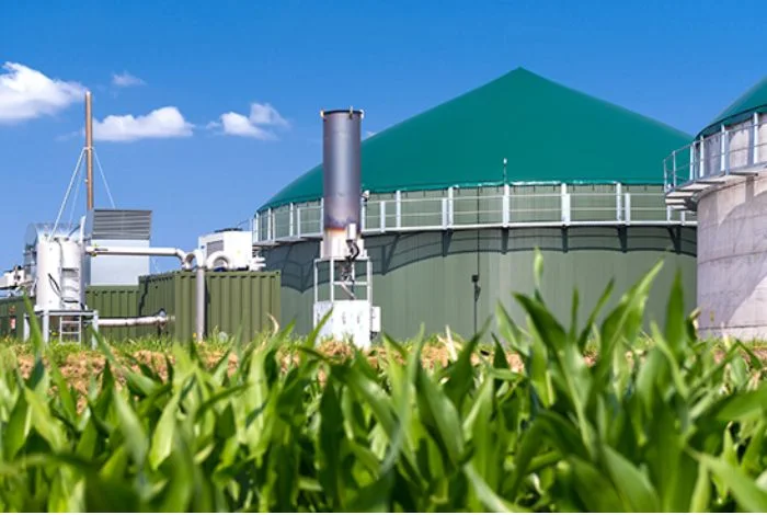 Top Biogas Burner Manufacturer in Egypt | Puti Energy
